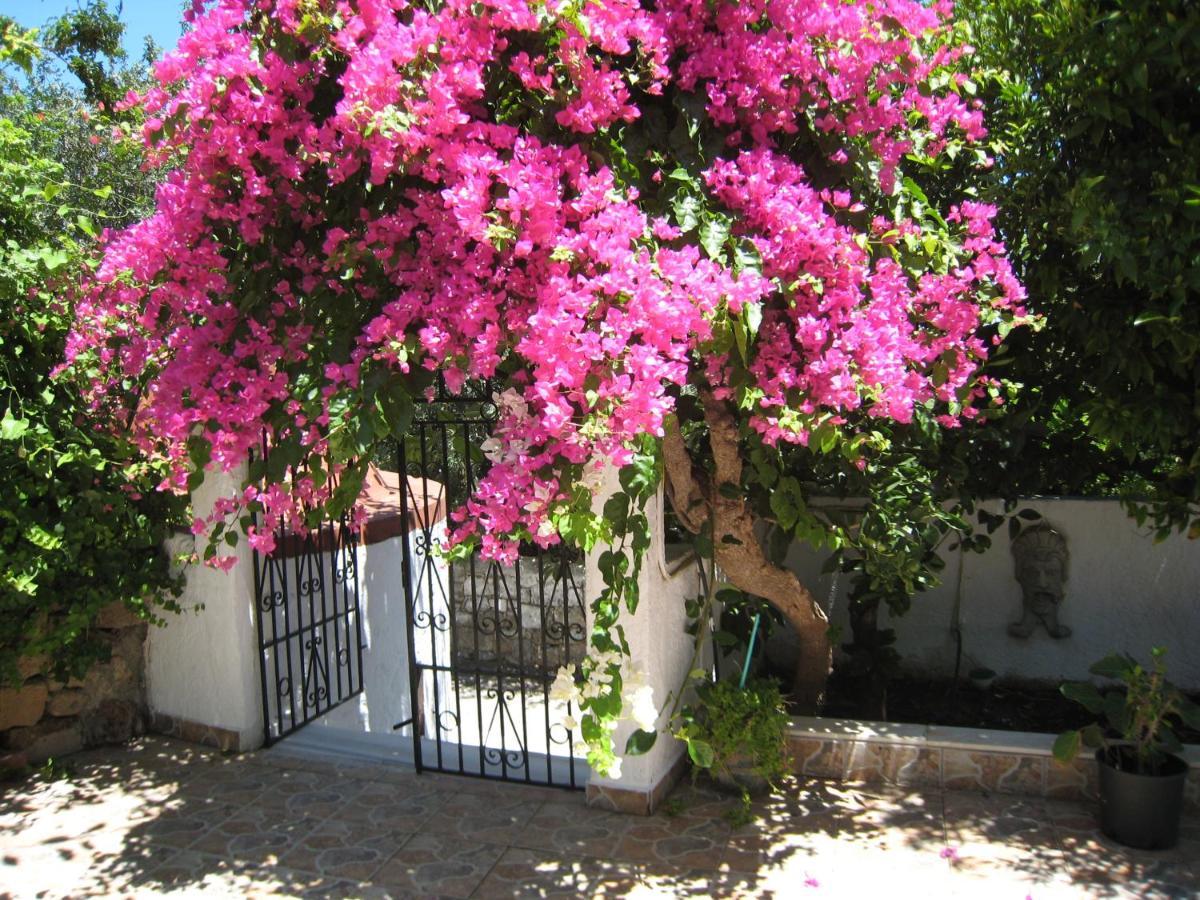 Eleftheria Lindian Ii Aparthotel Líndos