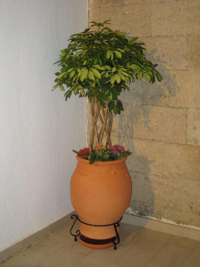 Eleftheria Lindian Ii